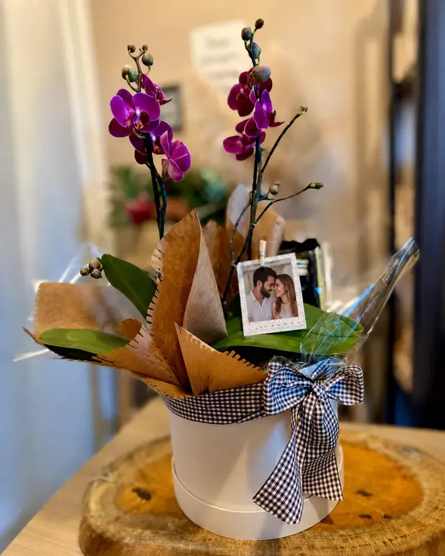 ORQUÍDEA & MEMÓRIAS